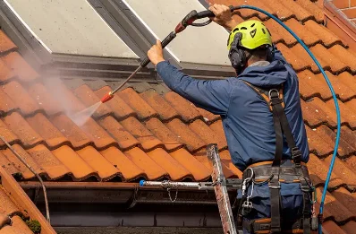 Démoussage et hydrofuge de toiture à Blingel